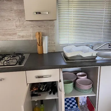 Cheerful And Relaxing Viena * Dirkshorn