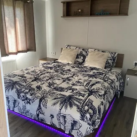 Chalet Cheerful And Relaxing Viena Dirkshorn